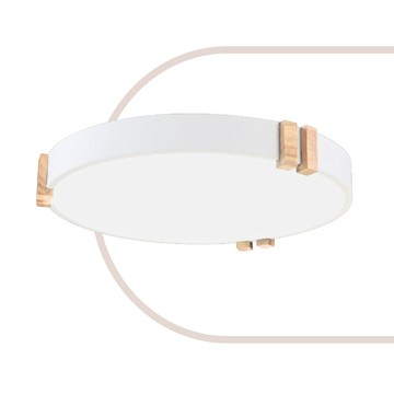 LED36W 三色切換吸頂燈 F37-21-91618