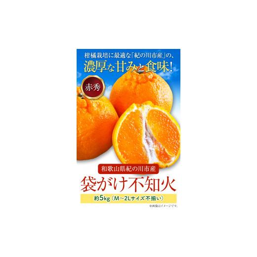 ふるさと納税 和歌山県 紀の川市 袋がけ不知火 約5kg M〜2Lサイズ不揃い 〈赤秀〉 株式会社松源《2024年4月中旬-5月上旬頃より順次出荷》和歌山県…