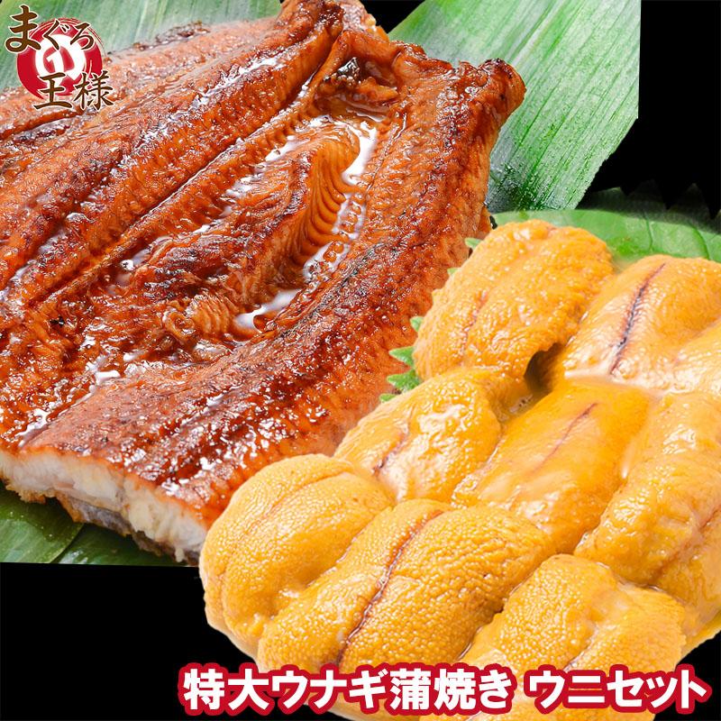 うにうなぎセット ＜松＞ 超特大国産うなぎ蒲焼き 平均250g前後×2尾 生ウニ 100g タレ付き