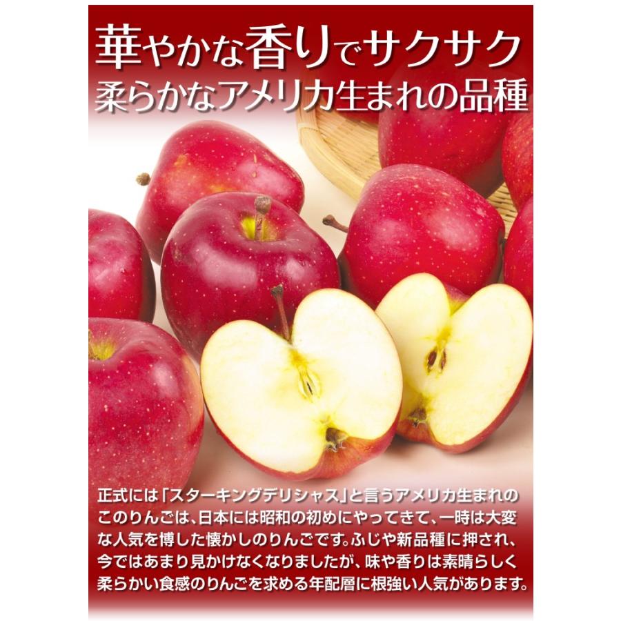 りんご 10kg スターキング青森産 ご家庭用 送料無料 食品