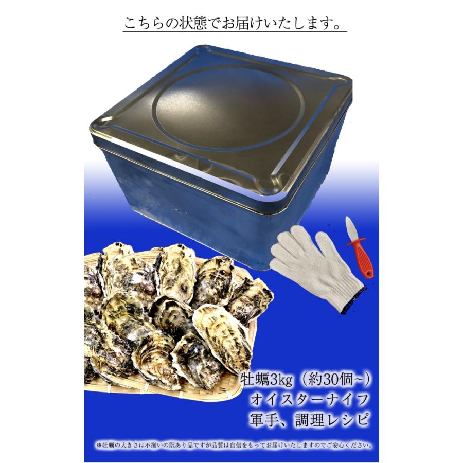 広島産 殻付き牡蠣 訳あり 3キロ(約30個) カンカン焼き カキ かき 宮島 BBQ ナイフ 軍手付 ギフト 取り寄せ