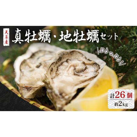 ふるさと納税 活き天草真牡蠣 10個 （加熱用） と 地牡蠣 16個 （加熱用） セット 熊本県上天草市