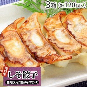 3セット(120個) しそ餃子 40個入×3   ギョーザ お取り寄せ グルメ ご当地 お取り寄せ 冷凍餃子 国産 国産野菜 国産豚肉