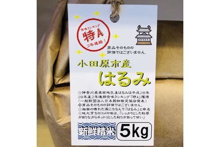  志村屋米穀店 令和5年産新米小田原市産　はるみ　新米　5kg　＜出荷時期：10月中旬より順次出荷開始＞