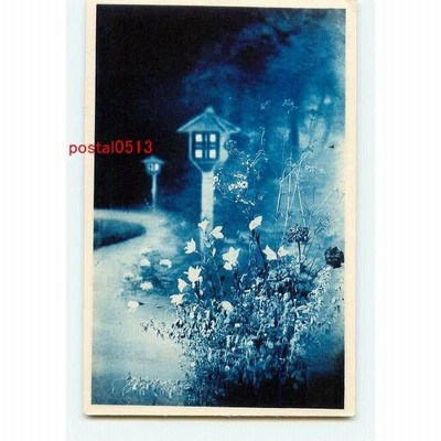 J1561 花絵葉書 その2  【アンティーク絵葉書】