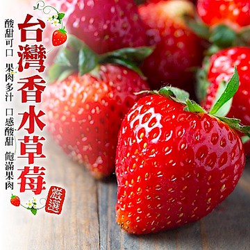 【天天果園】嚴選苗栗大湖香水草莓20-24顆5盒(每盒約400g)