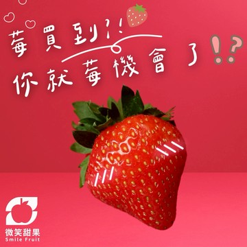 生日禮｜節慶送禮【微笑甜果】紐西蘭草莓禮盒｜紐西蘭草莓・空運草莓・草莓禮盒