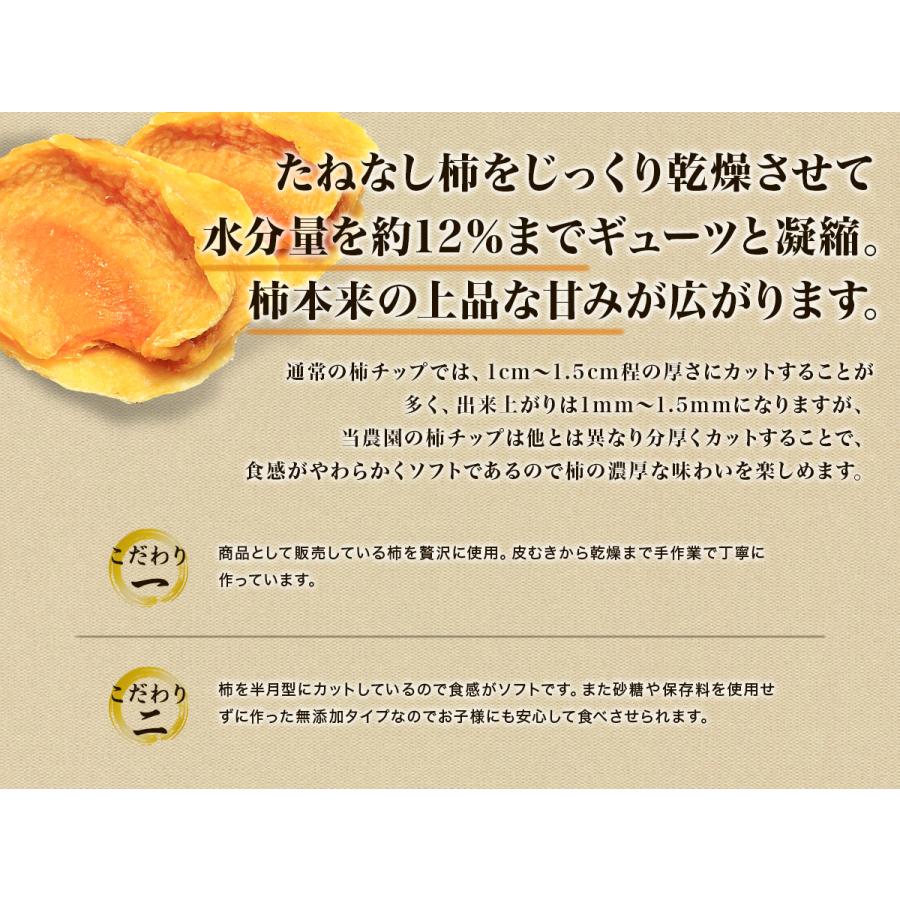 柿チップ 無添加 お試し 100g 和歌山 送料無料 ポイント消化