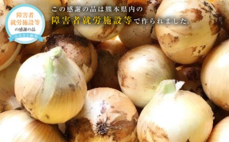 こだわり サラダ玉ねぎ 合計 8kg タマネギ たまねぎ  玉ねぎ 玉葱 常温 九州 熊本県産