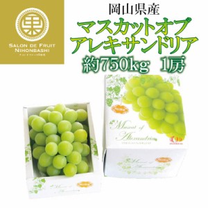 [最短順次発送]  マスカットオブアレキサンドリア 750g 化粧箱 岡山県産 ぶどう  秋ギフト  果実ギフト