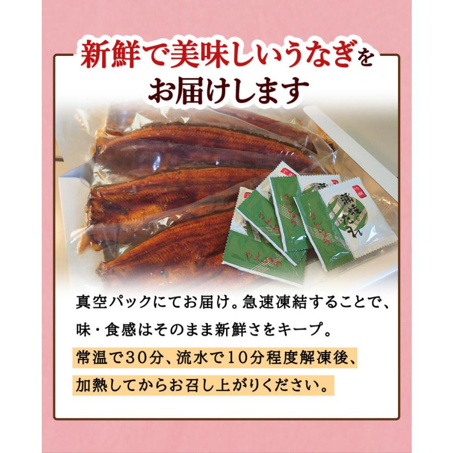 うなぎ 国産 熨斗対応 鹿児島県産 特大うなぎ蒲焼2尾セット（約440g 2尾） 200g以上の特大うなぎ 2尾入 丑の日 土用丑 土用 かば焼き 鰻 あかまる専稼