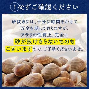 ふるさと納税 浜中産　活アサリ500g×3袋セット_230106 北海道浜中町