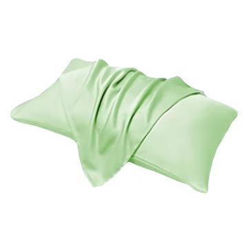 A-nice 雅妮詩 100%天絲 60支信封枕套 柔軟舒適 親膚透氣  蘋綠色  48 x 75cm  2件