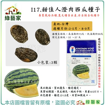 【綠藝家】I17.甜佳人澄肉西瓜種子3顆 肉質佳，肥大好，產量高 糖度穩定 肉質細脆爽口
