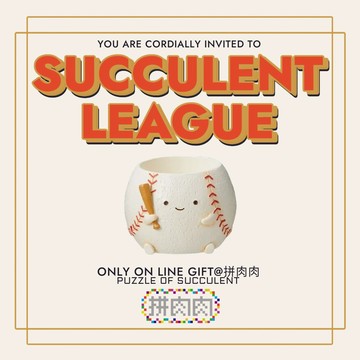 【拼肉肉】肉肉運動場-日本進口棒球多肉植物盲盒（植物隨機出貨）