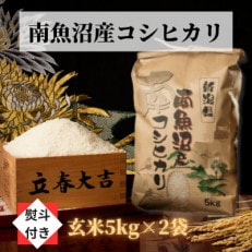 南魚沼産こしひかり(玄米10kg)新潟県の美味しいお米