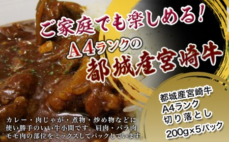 宮崎牛切り落とし1kg_MJ-2611_ (都城市) 牛肉 切り落とし 宮崎牛 和牛 国産 モモ肉 小分け 200g×5P