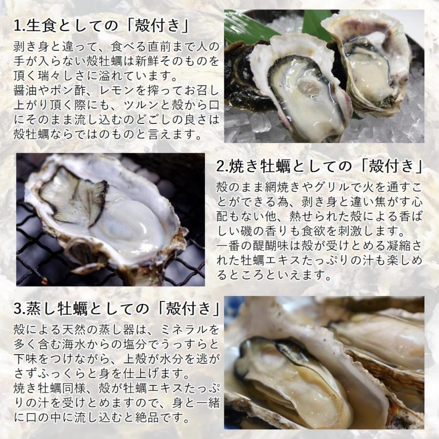 生食 OK カキ みちのく三陸産 殻付き生牡蠣 5kg 今季初出し 希少 ワケあり 亜鉛の摂取源No.1 新鮮 石巻 宮城 産地直送 ミネラル アミノ酸 タウリン セール 海鮮