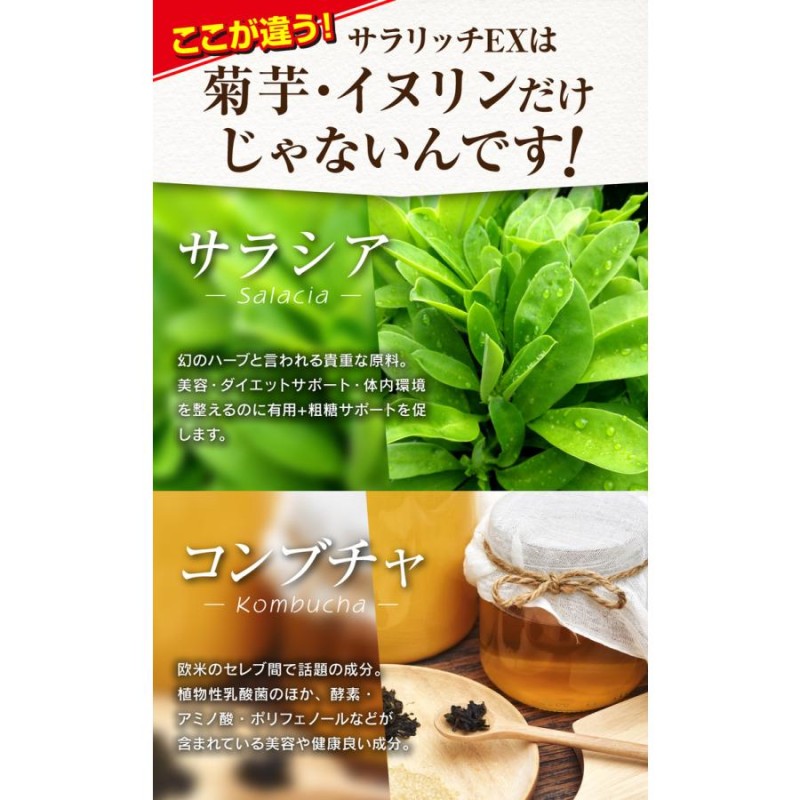 イヌリン サプリ レタス12玉分の食物繊維 サラシア サラリッチEX 糖