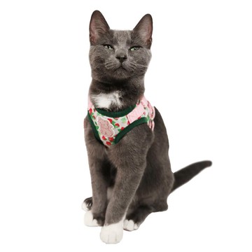 Strawberry Shortcake草莓甜心x Travel Cat聯名款外出背心牽繩