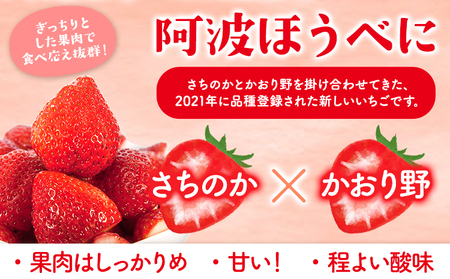 いちご 阿波ほうべに 紅ほっぺ 2種 食べ比べ セット 30粒 約900g 鳥羽農園《1月上旬-3月下旬頃発送予定》徳島県 上板町 苺 徳島県オリジナル品種 フルーティー 果物 フルーツ スイーツ 送料無料