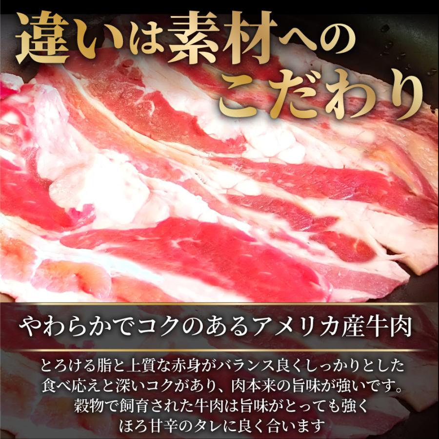 牛丼 牛丼の具 60個セット お肉屋さんのこだわり たっぷり牛肉の簡単牛丼 1食120g