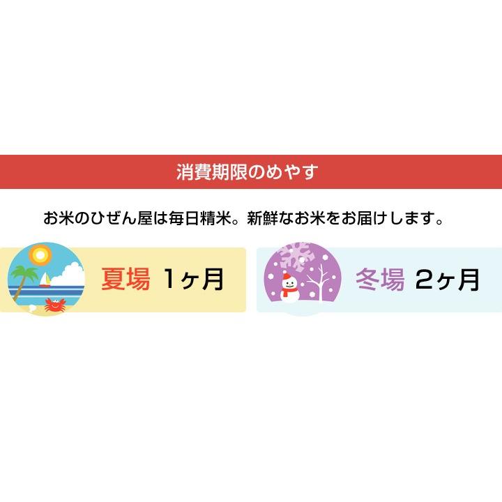 新米　5年産　佐賀県白米20kg(5kg×4袋) お米 米 佐賀県産 