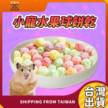 小動物零食 倉鼠零食 小寵物點心 水果球形餅乾 黃金鼠零食 倉鼠點心