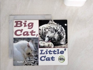 【書寶二手書T3／兒童文學_WER】Nelson Focus 1a Big Cat Little_Haydon, Et Al