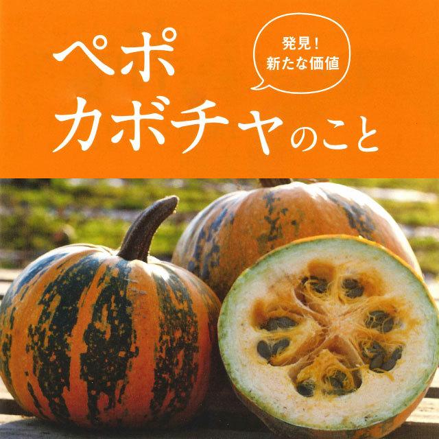かぼちゃの種 北海道産 わっさむ ペポナッツ 乾燥 100g