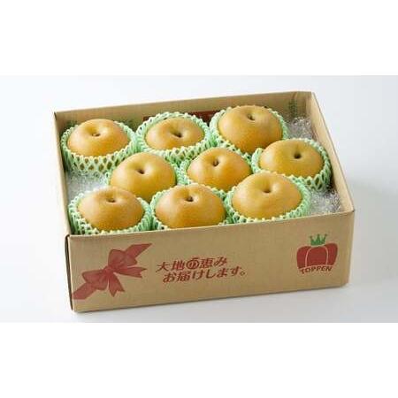 ふるさと納税 完熟 くまもと梨 3kg 果物 フルーツ なし 熊本県