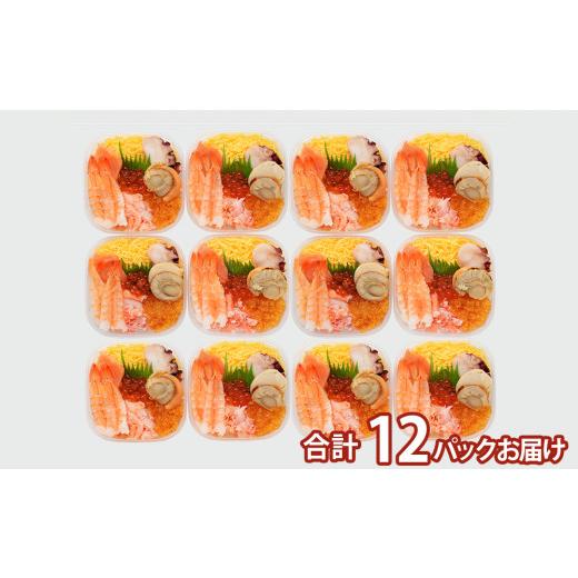 ふるさと納税 北海道 千歳市 海鮮丼 具 70g×12 7種 12個セット 魚介類 ギフト 海の幸 七福丼