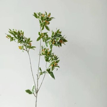 高檔仿真綠植插花配草銀邊翠清新白綠色鳴子葉 花藝配材 葉上白