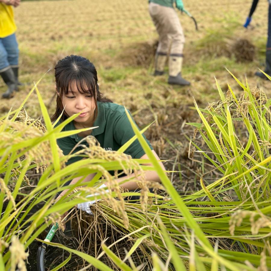 新米 米 お米 米10kg （5kg×2袋） ななつぼし 白米 精米 令和5年産 北海道産 古代米お試し袋付き