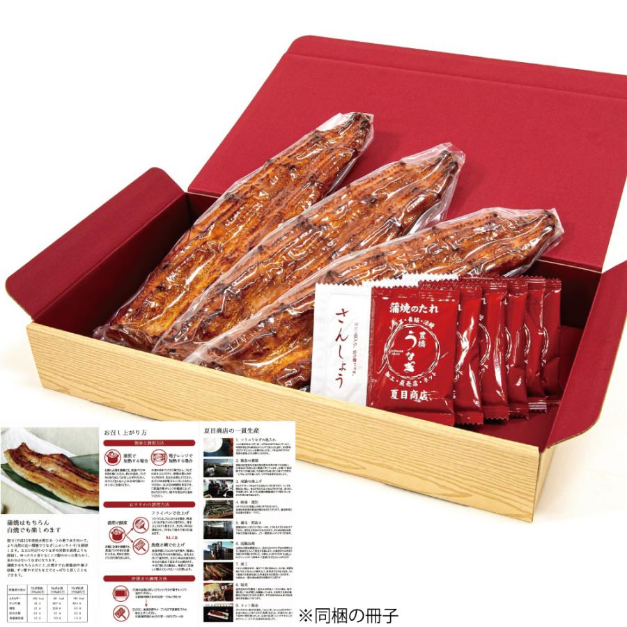 うなぎ 鰻 国産 プレゼント ギフト 蒲焼き 155-167g×3尾 大盛3人前 化粧箱 送料無料 お歳暮 贈り物 誕生日 内祝い