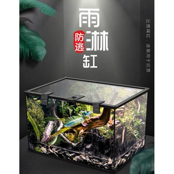 【台灣現貨】雨林缸 爬蟲缸 水族缸 爬蟲玻璃缸 玉米蛇 豹紋守宮 樹蛙缸 睫角缸 水陸缸 爬蟲雨林缸 生態缸 角蛙缸
