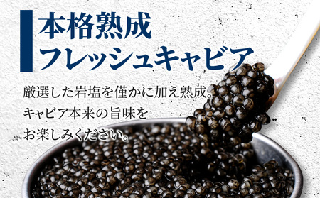 宮崎県産キャビア 詰め合わせ 合計200g 魚卵 キャビア