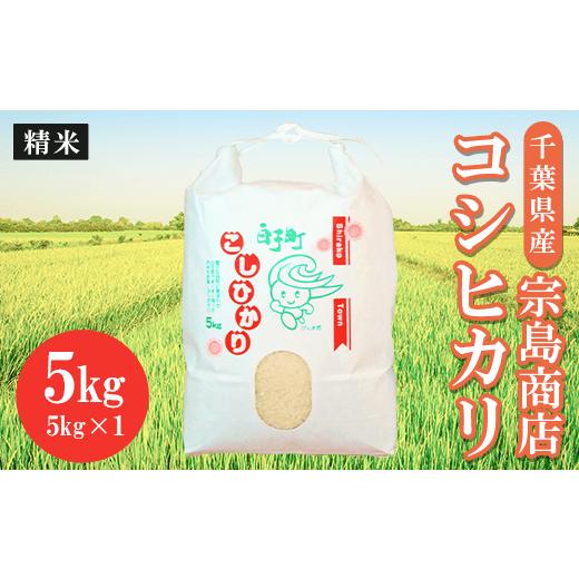 ふるさと納税 千葉県 白子町 令和5年産　千葉県産 コシヒカリ（精米）5kg（2023年9月上旬から発送） ふるさと納税 お米 5kg 千葉県産 白子町 コシヒカ…