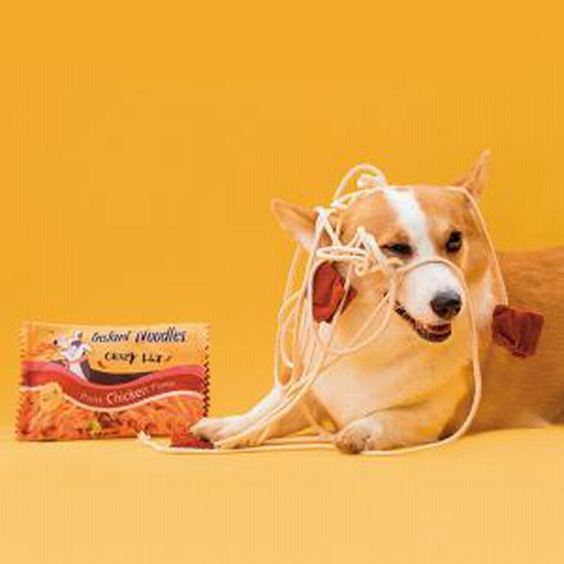 Ear Planet インスタントラーメン 犬用おもちゃ 通販 Lineポイント最大7 0 Get Lineショッピング