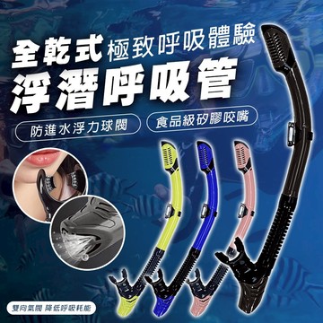 【蝦皮隔日配】浮潛呼吸管 雙向氣閥 矽膠咬嘴 底部排水 浮潛 潛水 浮潛面罩用 D0409012