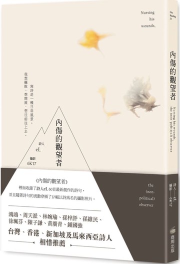 內傷的觀望者【城邦讀書花園】