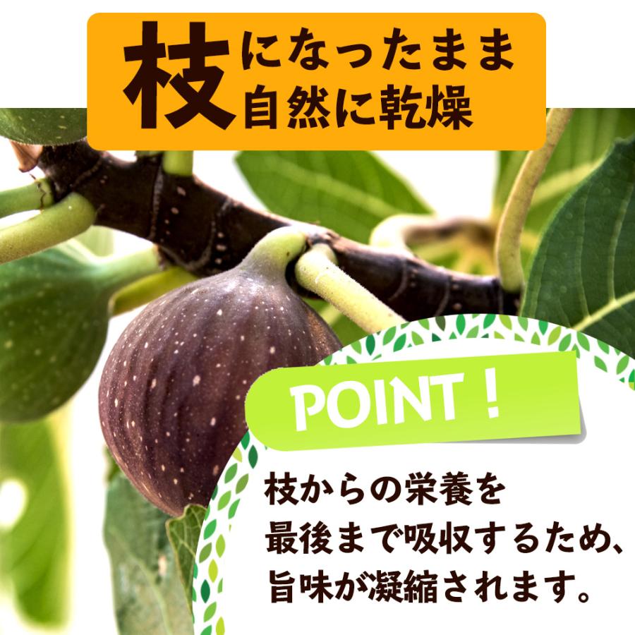 いちじく  割れいちじく 訳あり 850g ドライいちじく カット ドライフルーツ 無添加 健康 おやつ 大容量 砂糖不使用 農薬不使用 送料無料 Y