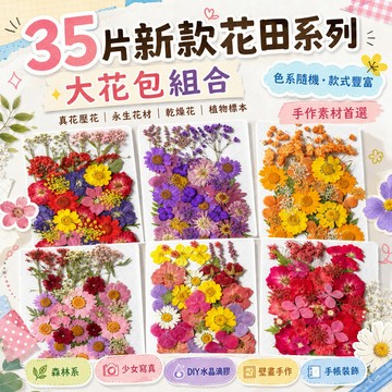 【35片新款花田系列】 大花包組合 真花壓花 永生花 森林系 少女寫真 壁畫 DIY水晶滴膠 乾燥花 植物標本