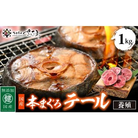 ふるさと納税 国産 本まぐろ テール 1kg まぐろの王様！引き締まった身に旨味が凝縮 ステーキや煮物に コラーゲンたっぷり！ [e04-a053] 福井県越前町