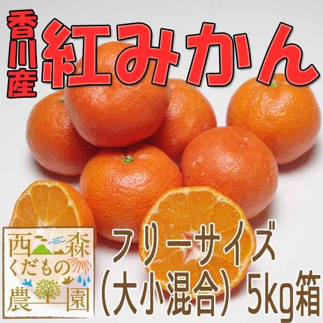 ＼12月発送／香川産 紅みかん 5ｋｇ箱（箱込約5kg）［送料無料♪］お歳暮ギフトに♪