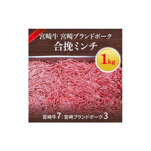 ふるさと納税 宮崎県 延岡市 宮崎牛 宮崎ブランドポーク 合挽ミンチ 1kg　N061-ZA382