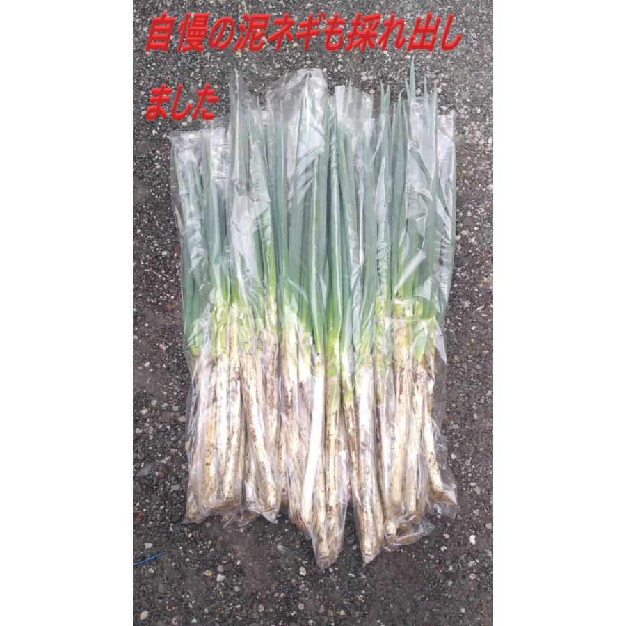 旬の野菜セット80（8〜10種）