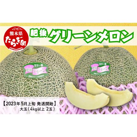 ふるさと納税 熊本県産 肥後 グリーンメロン 大玉 ≪2玉／合計4kg以上≫【 ご予約 予約 令和6年 .. 熊本県多良木町