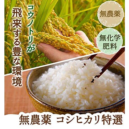 白米 無農薬 コシヒカリ 「特選」 5kg 令和5年福井県産 無農薬・ 無化学肥料栽培