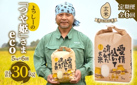 令和5年産よっしーの「つや姫」さまeco（玄米）5kg×6 米 お米 おこめ 山形県 新庄市 F3S-1629